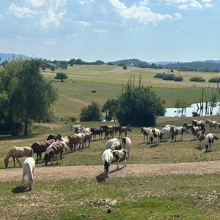 Relais Equestre Du Neufeld - Ete 招待所 Oberhaslach