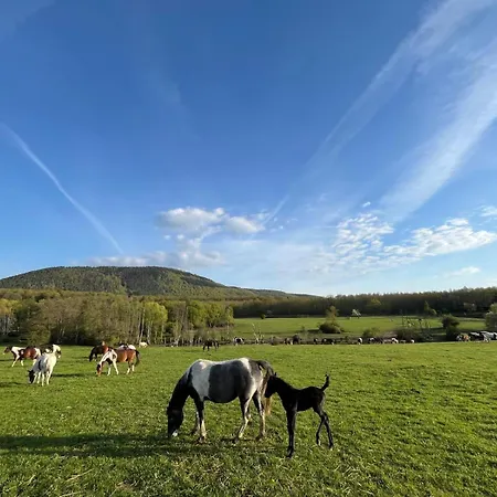 Relais Equestre Du Neufeld - Ete Oberhaslach